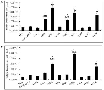 Optimized AAV rh.10 Vectors That Partially Evade Neutralizing Antibodies during Hepatic Gene Transfer